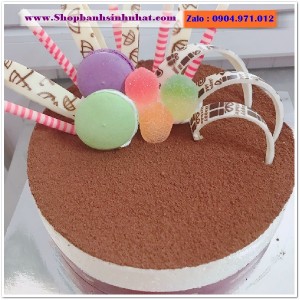 Bánh Sinh Nhật Tiramisu - T55